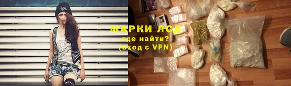 сатива Медногорск