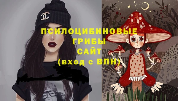 дурь Медвежьегорск