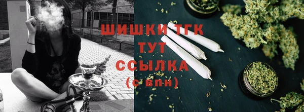 сатива Медногорск