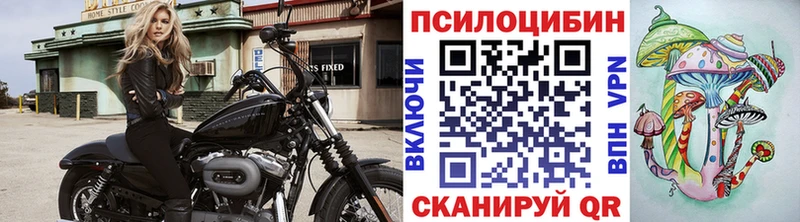 Псилоцибиновые грибы мухоморы  Купить  Сегежа 