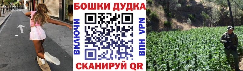 Купить где  Сегежа  Каннабис индика 
